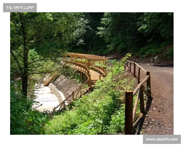 永歌森林深度探险之旅:走进大自然的秘境与奇观 永歌森林深度探险之旅:走进大自然的秘境与奇观